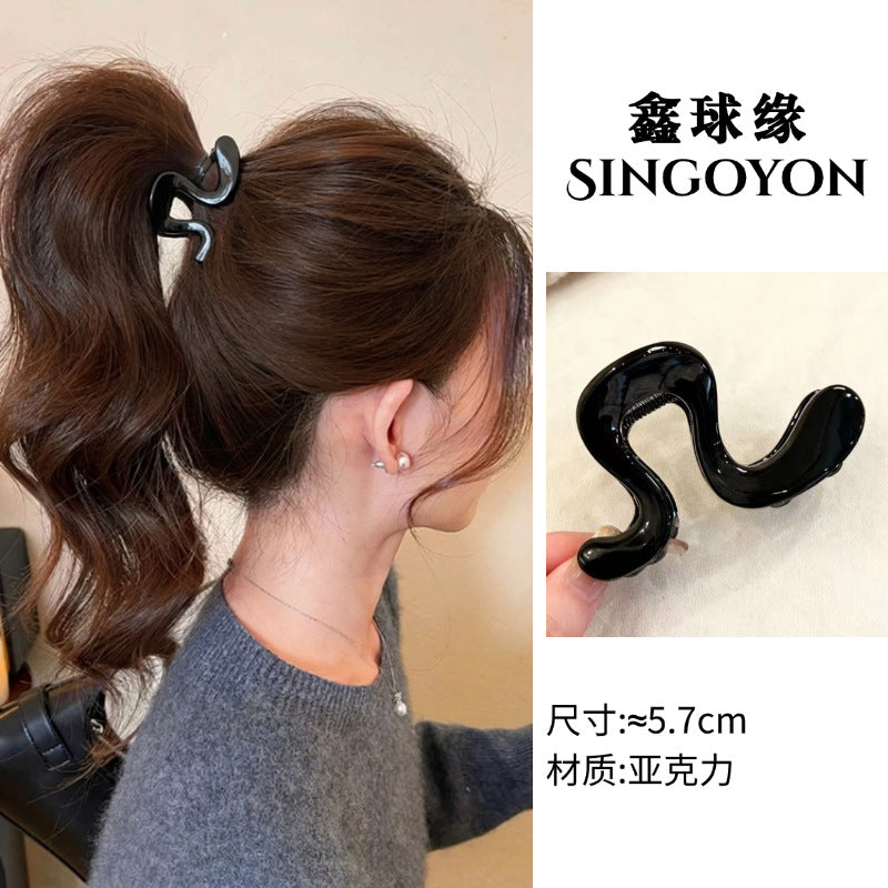 Large Versatile Grab Clip Women's Back of Head Shark Clip Korean Premium Hairpin 2026 Temperament Disc Hair Accessories