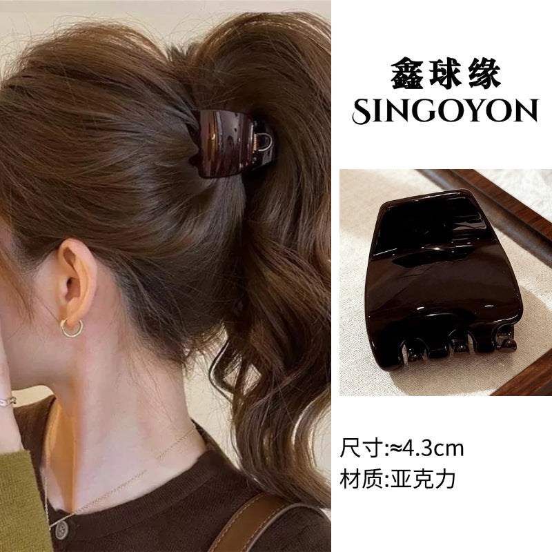 Large Versatile Grab Clip Women's Back of Head Shark Clip Korean Premium Hairpin 2026 Temperament Disc Hair Accessories