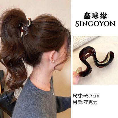 Large Versatile Grab Clip Women's Back of Head Shark Clip Korean Premium Hairpin 2026 Temperament Disc Hair Accessories