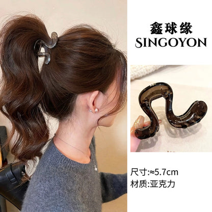 Large Versatile Grab Clip Women's Back of Head Shark Clip Korean Premium Hairpin 2026 Temperament Disc Hair Accessories